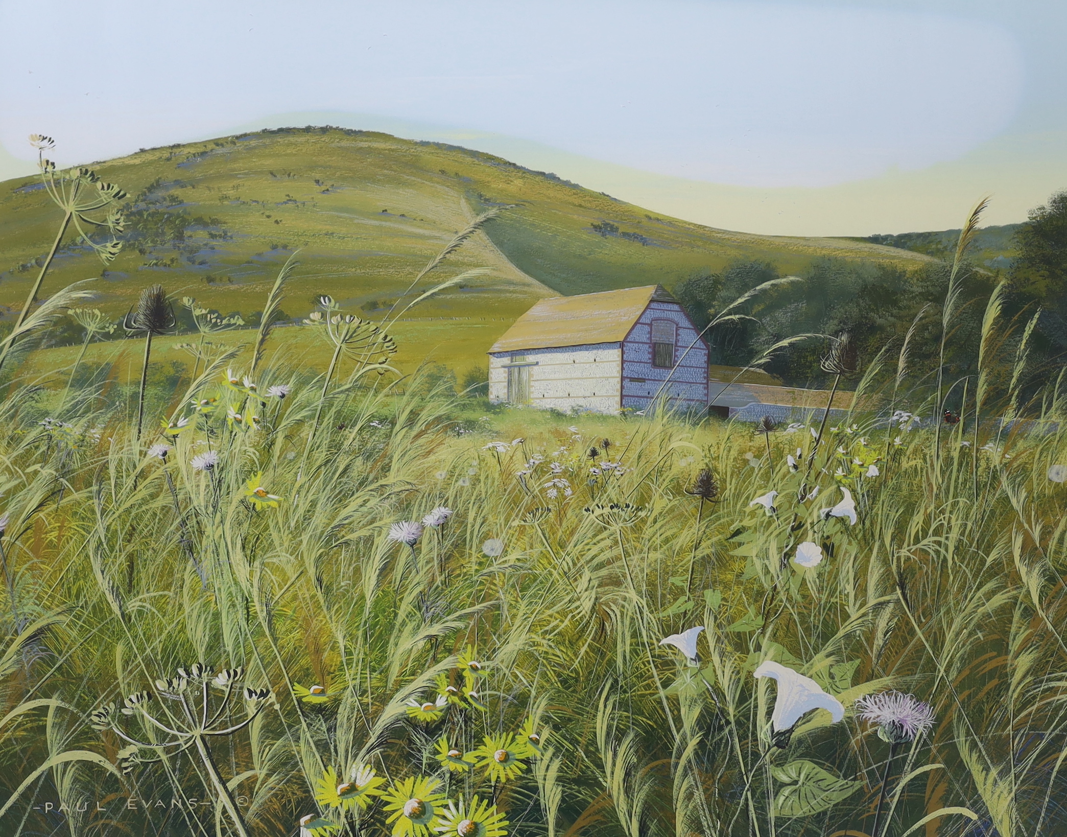 Paul Evans (b.1954), gouache, Meadow landscape with barns, signed, 43 x 55cm